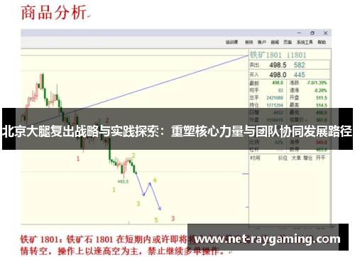北京大腿复出战略与实践探索：重塑核心力量与团队协同发展路径