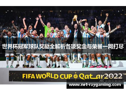 世界杯冠军球队奖励全解析各项奖金与荣誉一网打尽